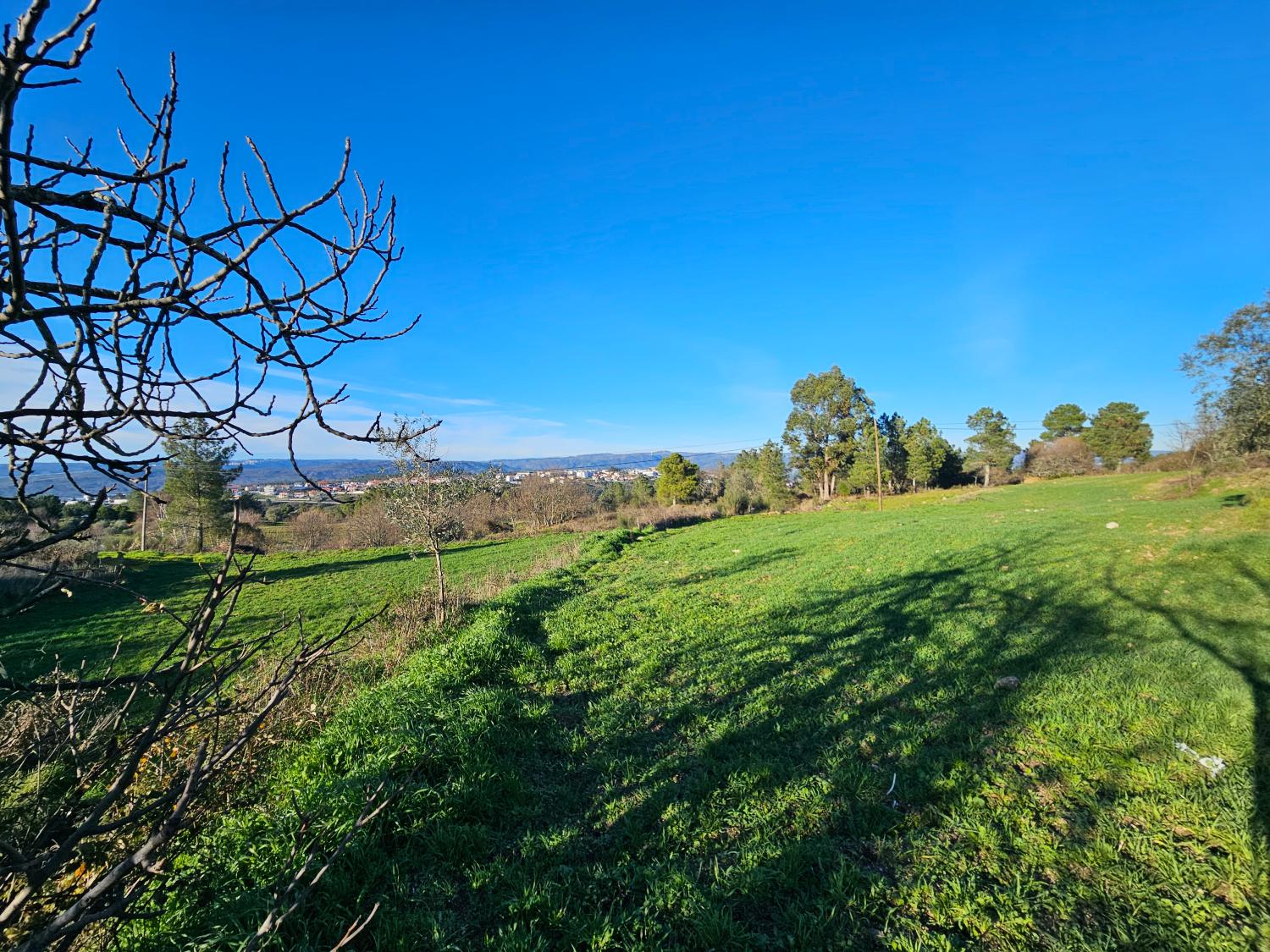  te koop boerderij Aldeia da Serra Celorico Da Beira 4