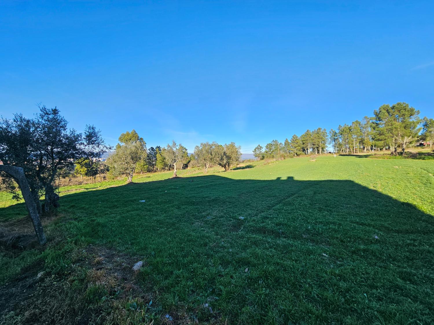  te koop boerderij Aldeia da Serra Celorico Da Beira 5