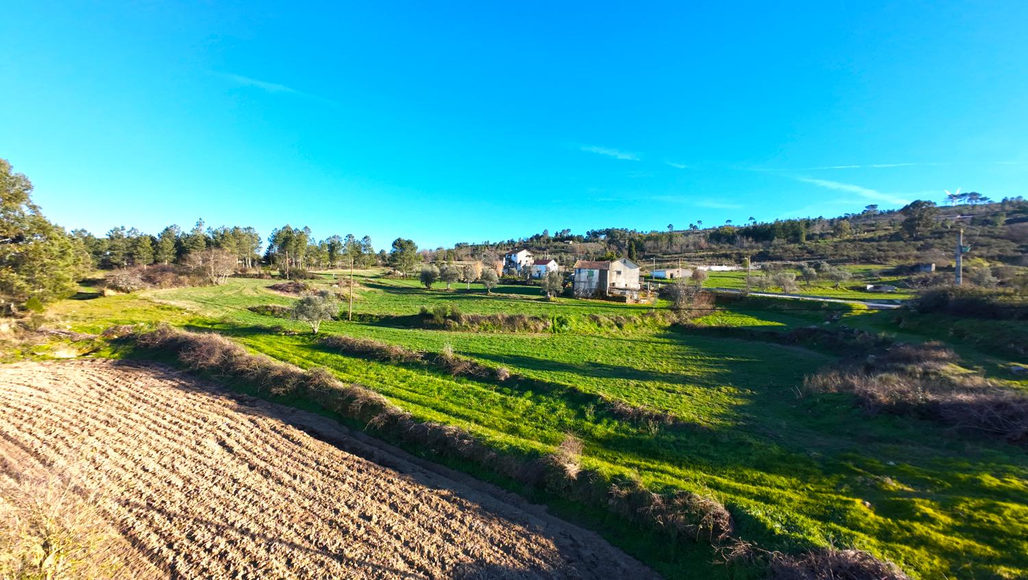  te koop boerderij Aldeia da Serra Celorico Da Beira 6