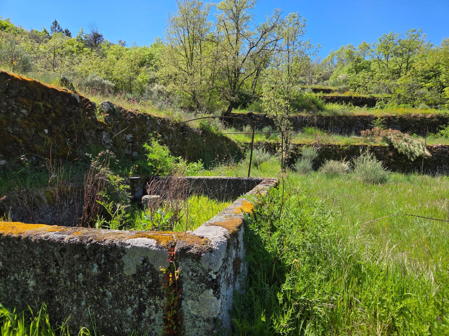  te koop boerderij Lajeosa do Mondego Celorico Da Beira 11