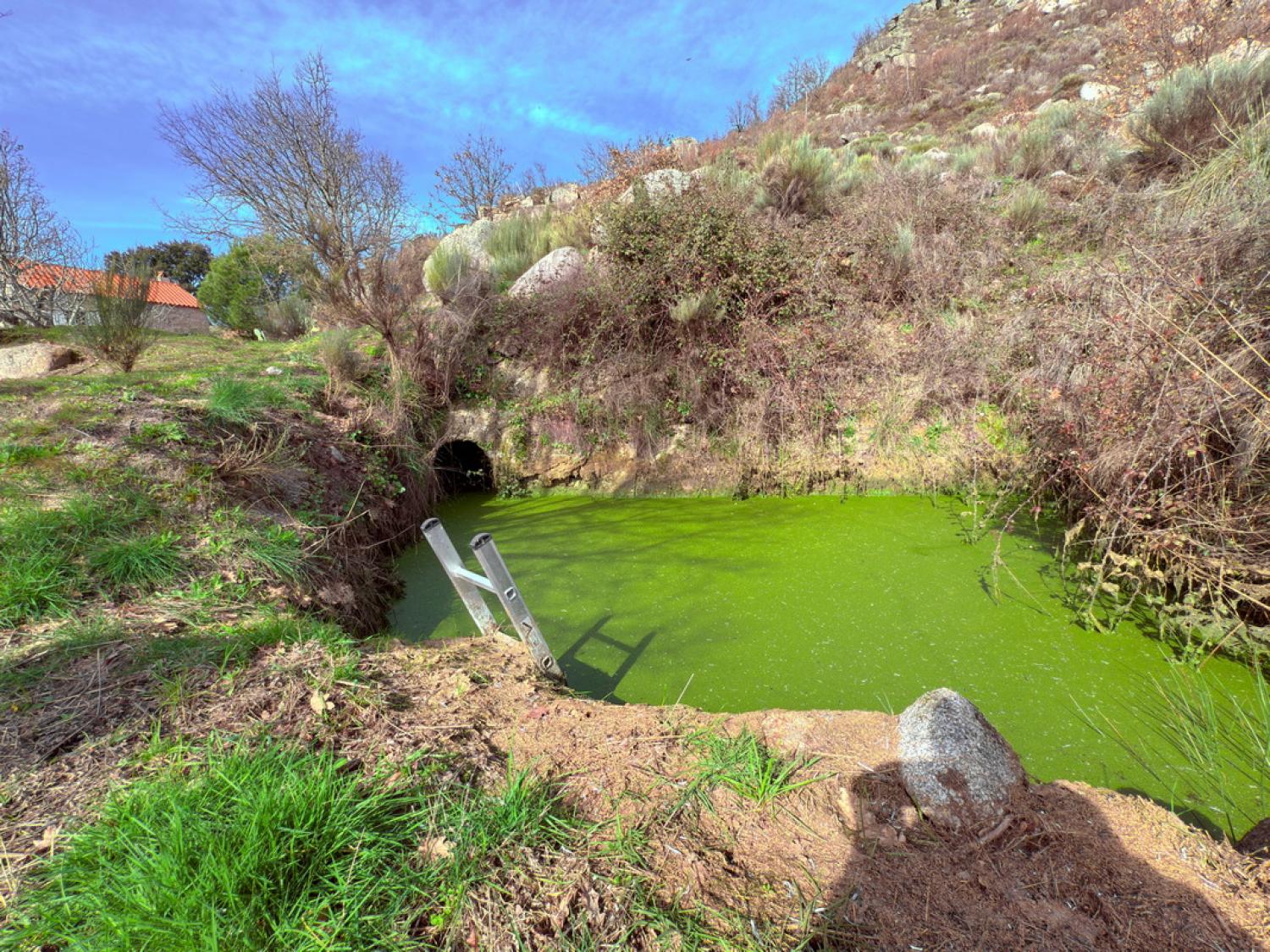  te koop boerderij Pousafoles do Bispo Sabugal 36