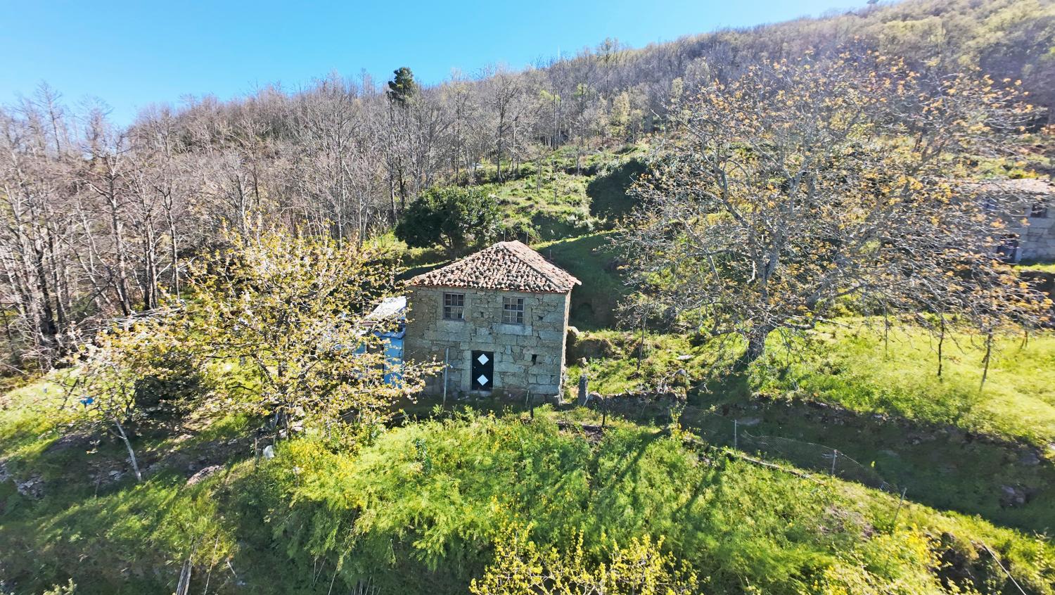  te koop boerderij Famalicão Guarda 1