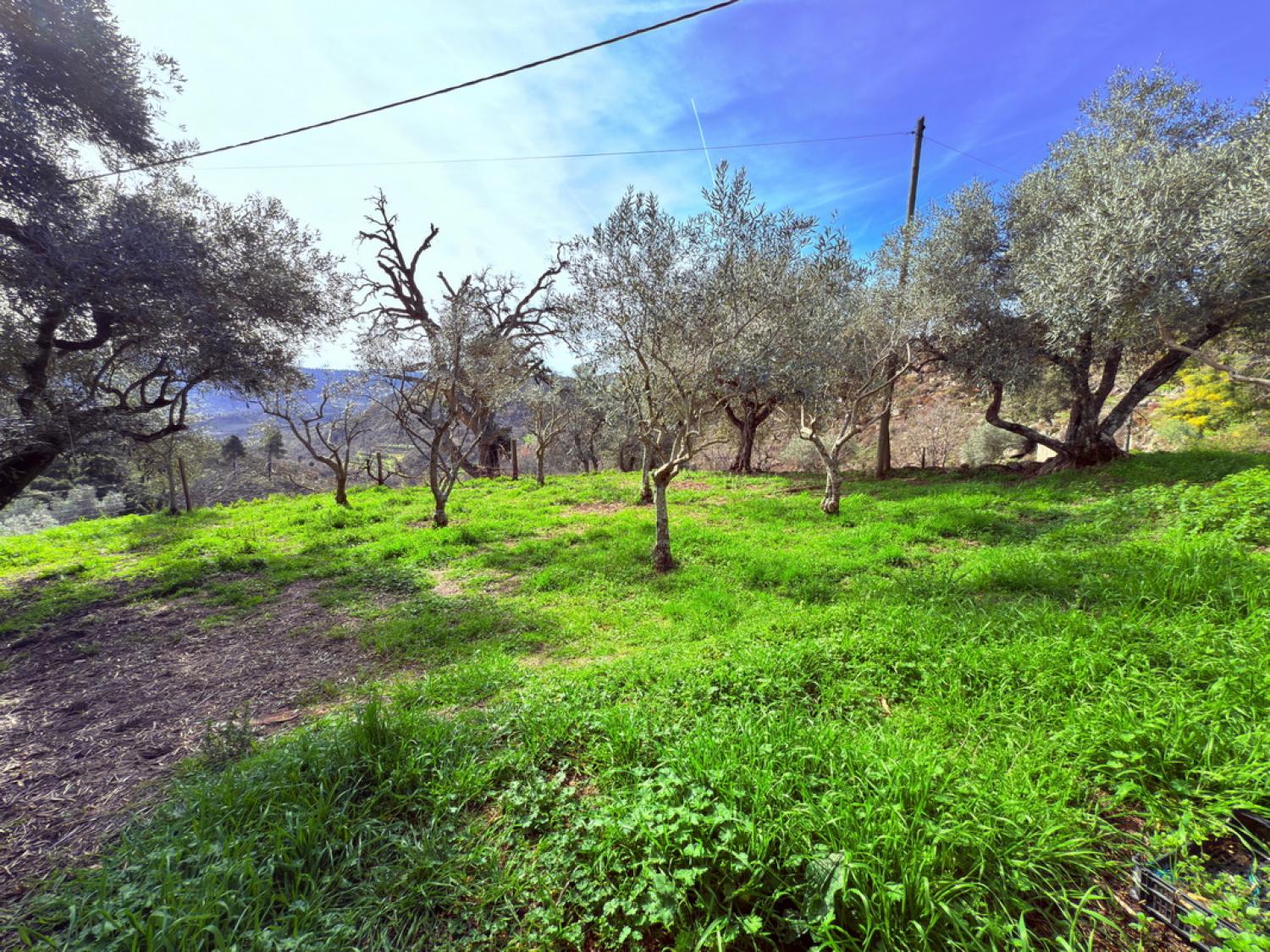  te koop boerderij Pousafoles do Bispo Sabugal 42