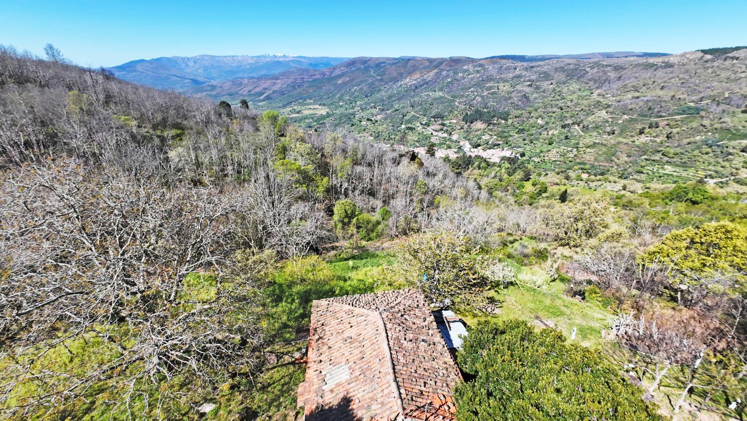  te koop boerderij Famalicão Guarda 9