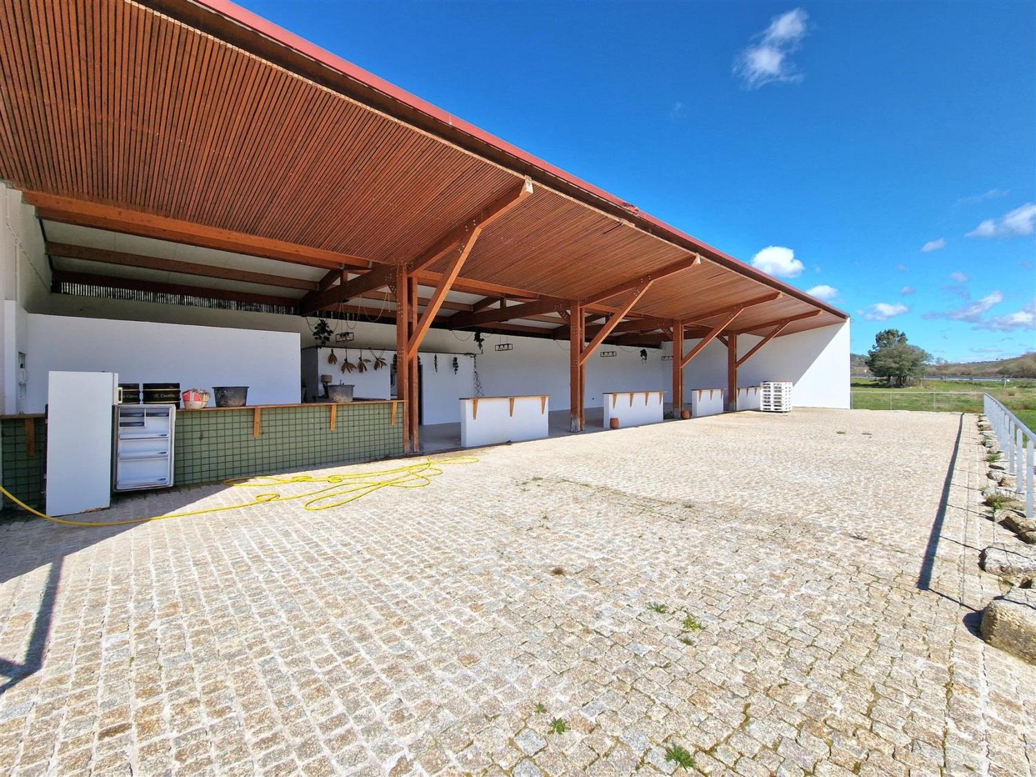  te koop landgoed Celorico da Beira Celorico Da Beira 15