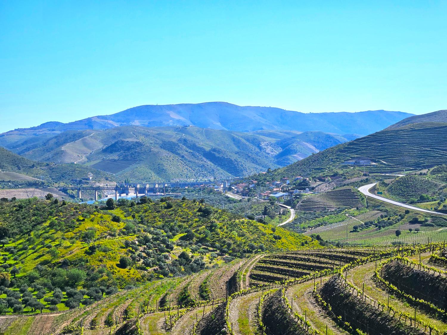  te koop wijngaard Vila Nova de Foz Côa Vila Nova De Foz Côa 10