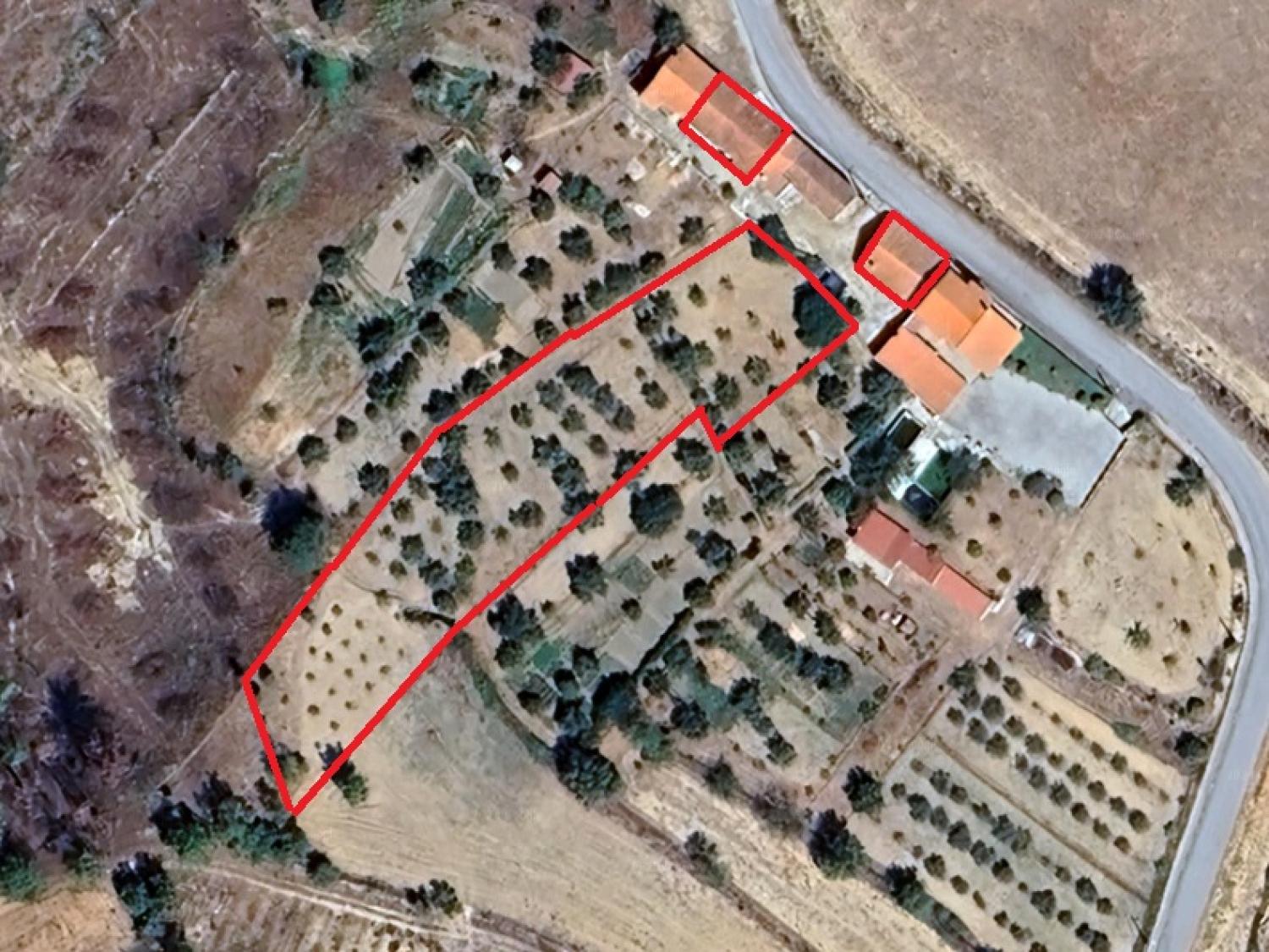  te koop huis Gonçalo Guarda 14