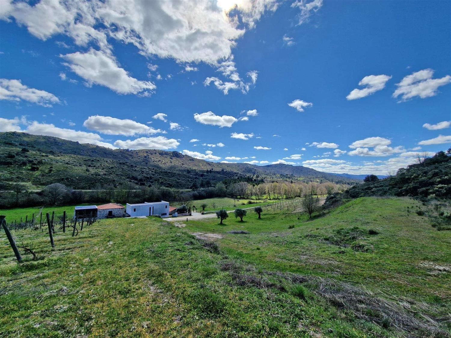 te koop landgoed Celorico da Beira Celorico Da Beira 18