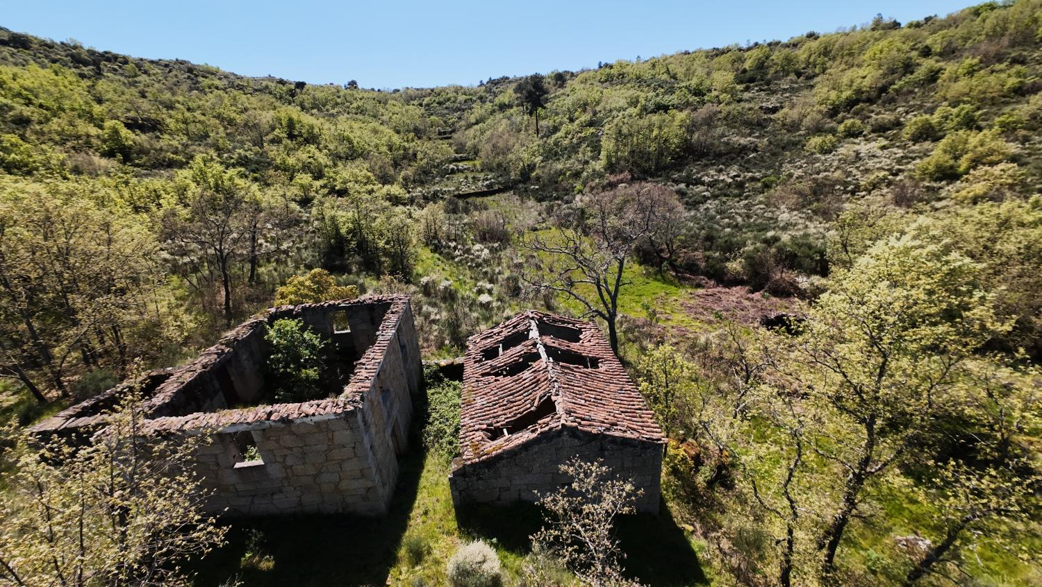  te koop boerderij Lajeosa do Mondego Celorico Da Beira 2