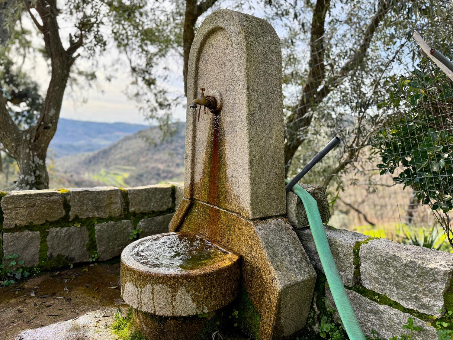  te koop boerderij Pousafoles do Bispo Sabugal 14