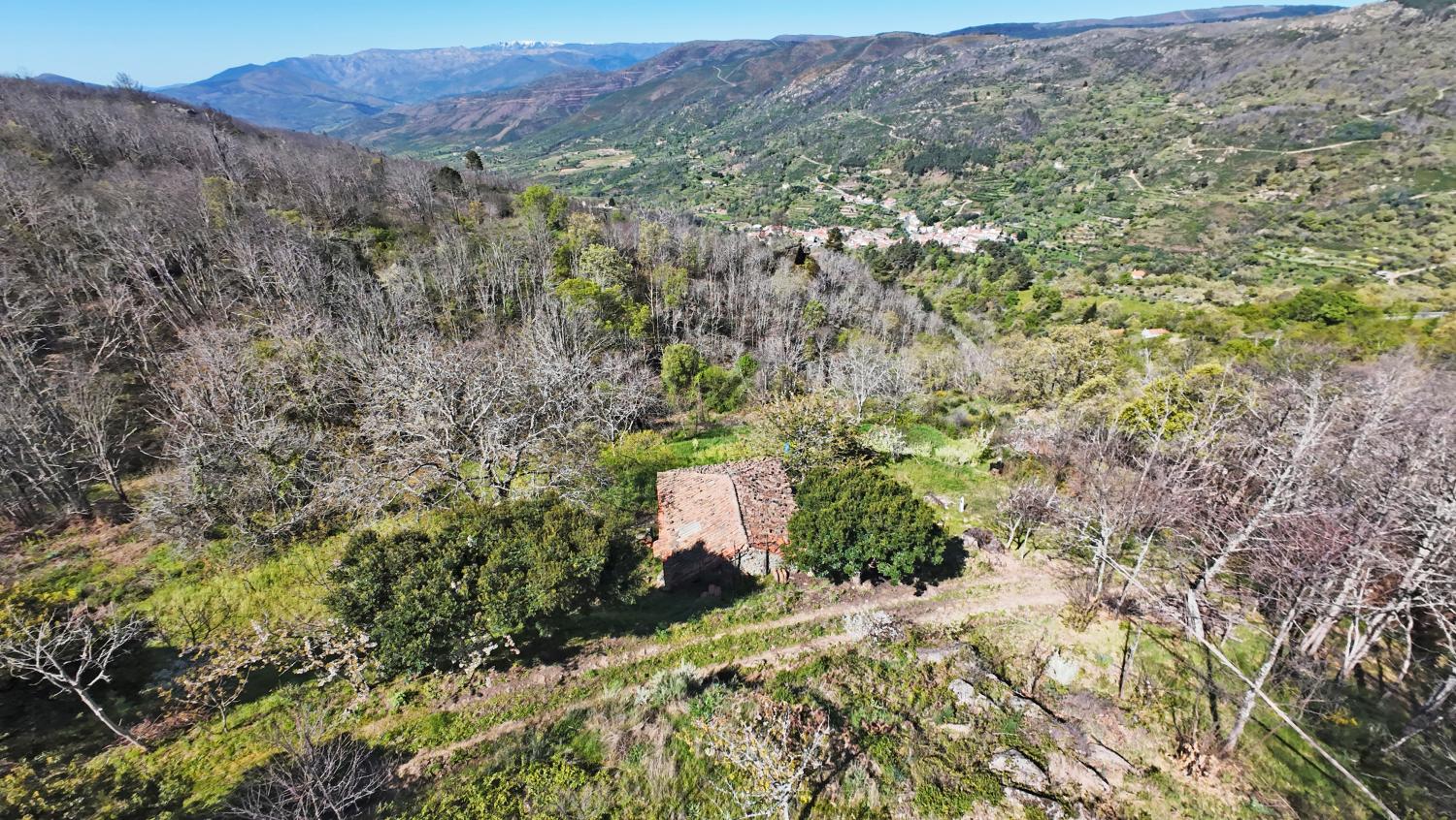  te koop boerderij Famalicão Guarda 7
