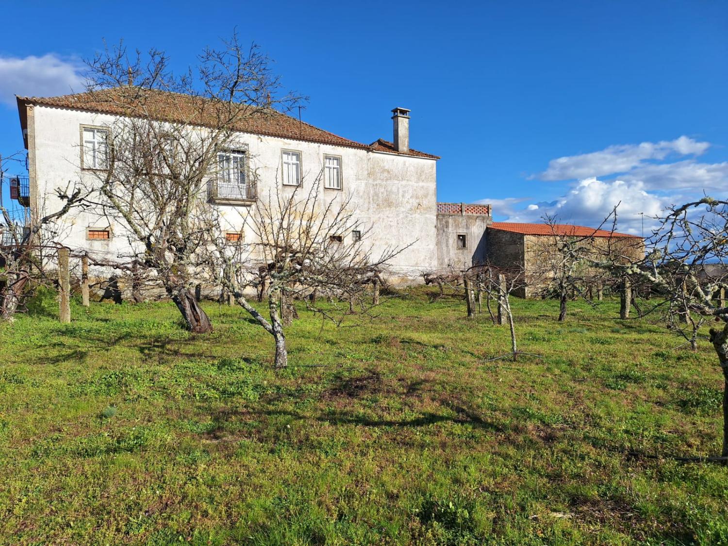  te koop vrijstaand huis Pai Penela Mêda 1
