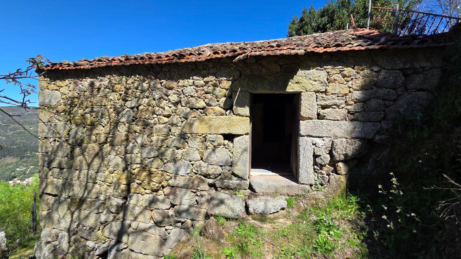  te koop boerderij Famalicão Guarda 3